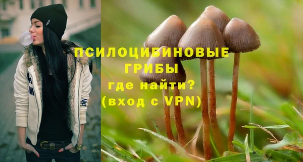 первитин Армянск